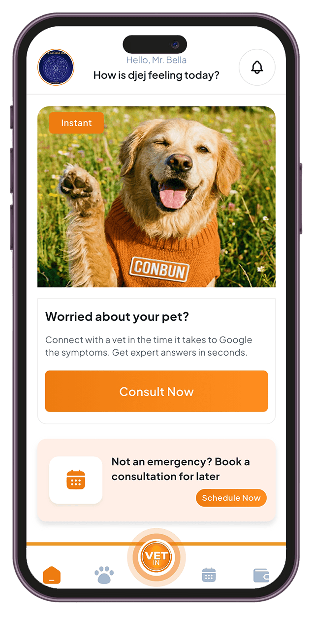 best online vet consultation india