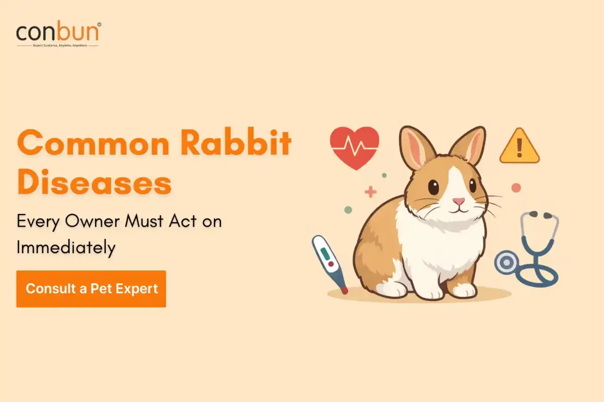 Article Banner
