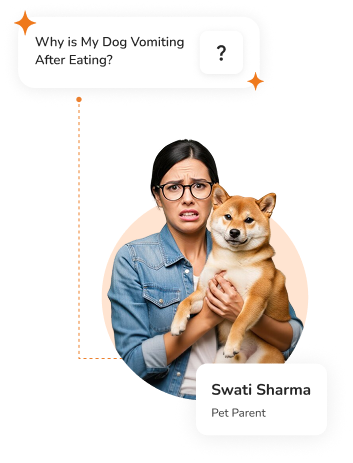 Girl with Dog